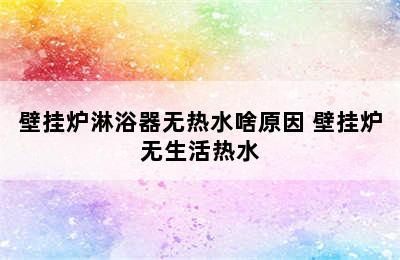 壁挂炉淋浴器无热水啥原因 壁挂炉无生活热水